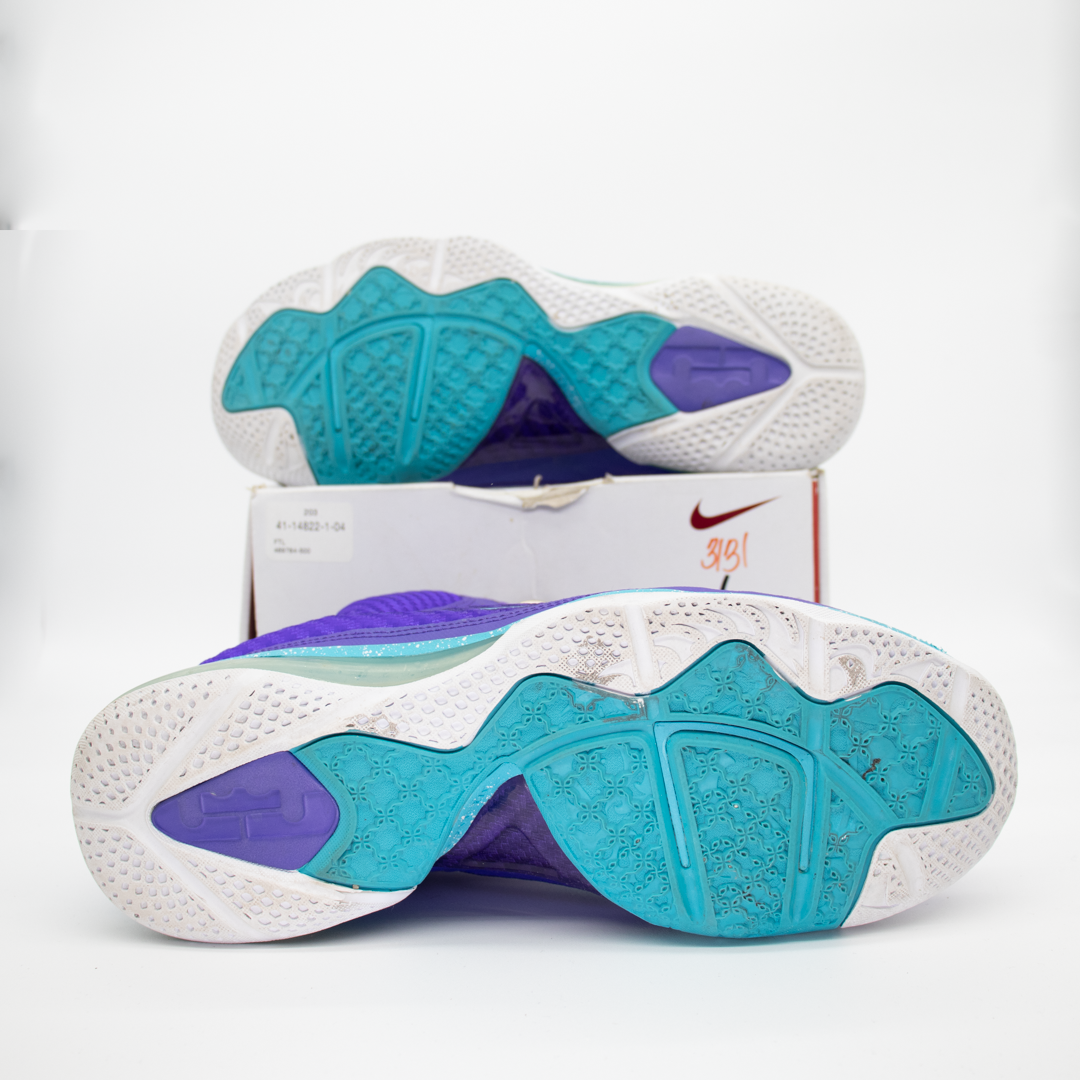 Nike LeBron 9 Summit Lake Hornets Size 10