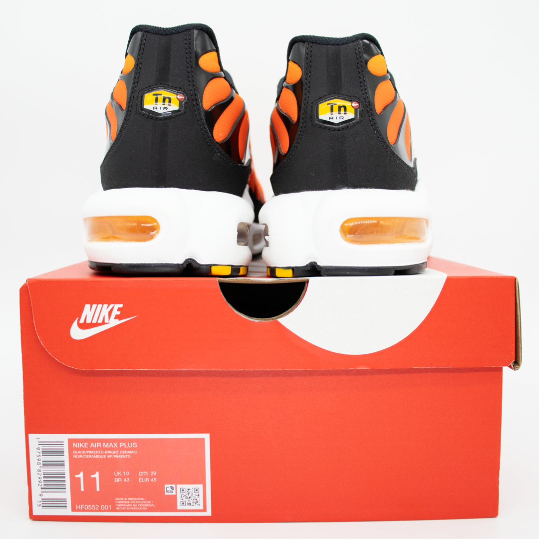 Nike Air Max Plus Sunset Size 11